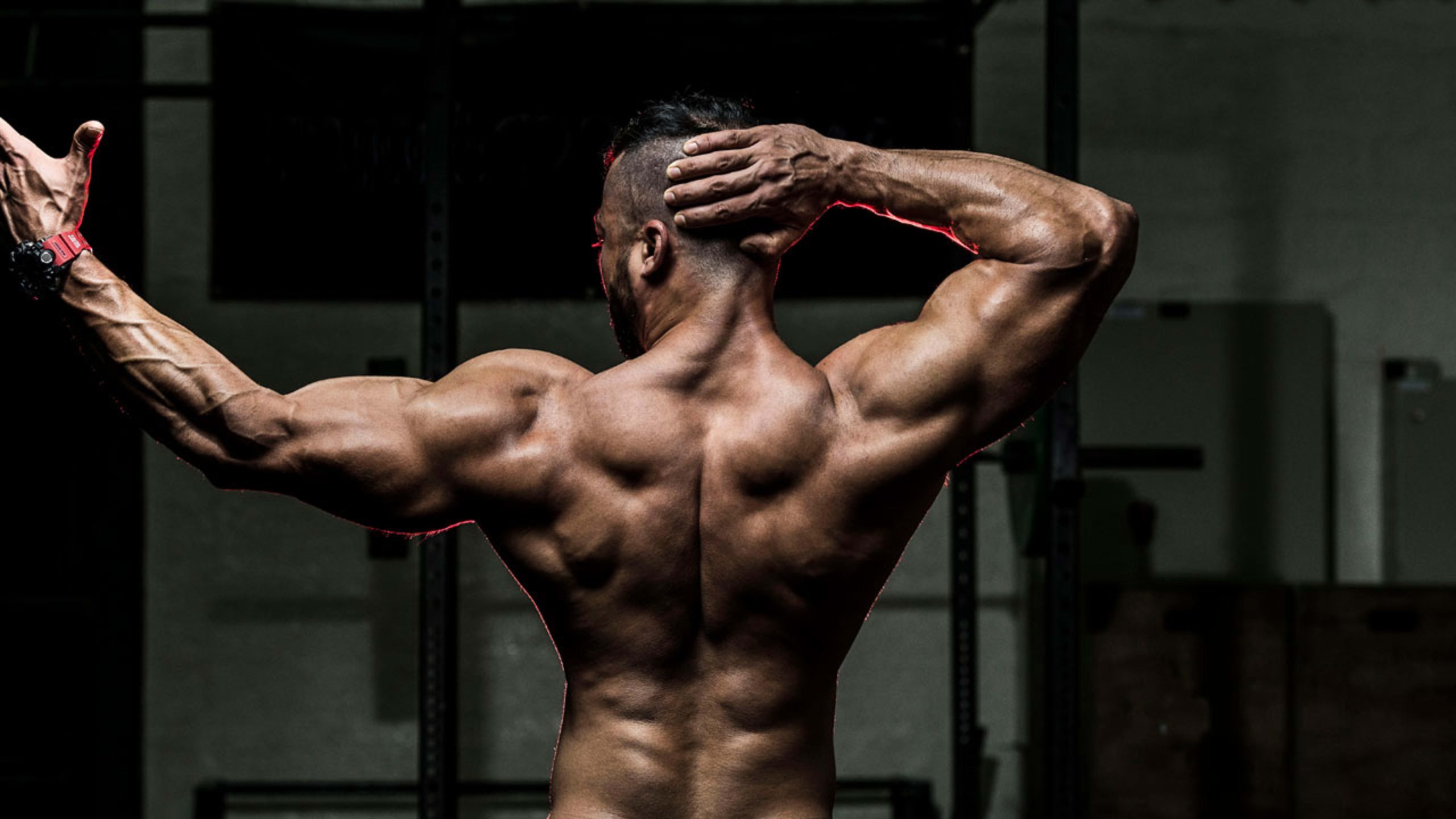 What No One Tells You About Anabolic Steroids